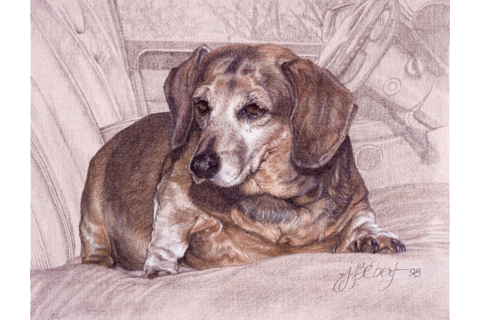 Colored Pencil